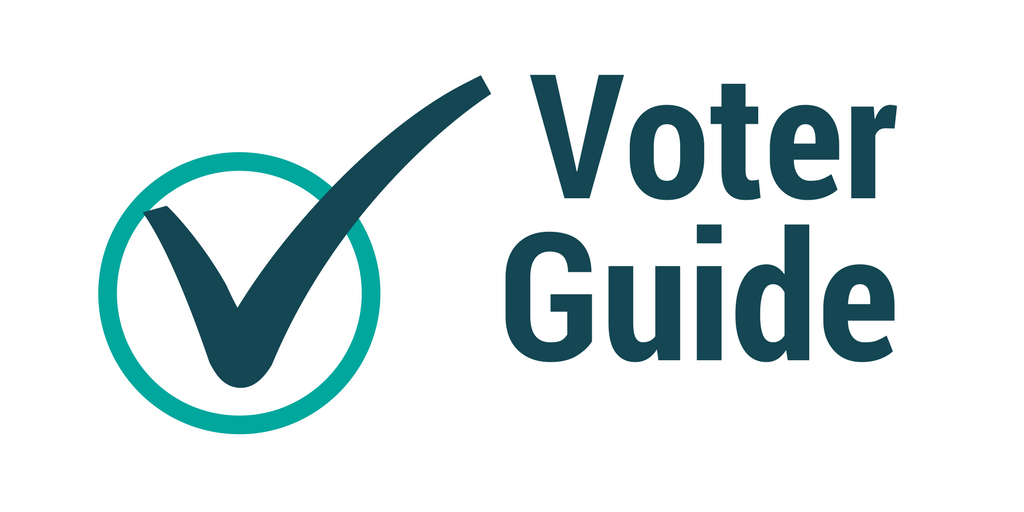 Voter Guide Icon